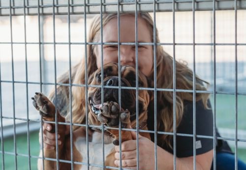 Lisa posing with a bulldog