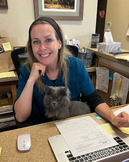Texas West Animal Health Staff holding a cat at the reception desk