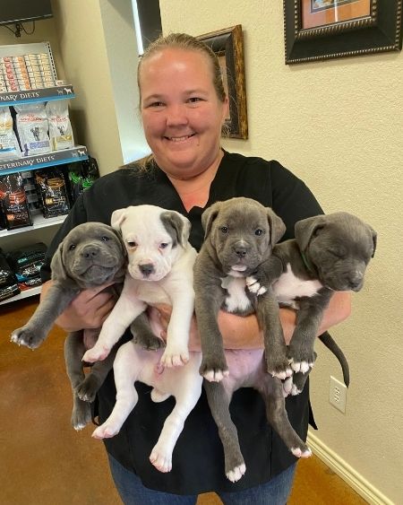 Texas West Animal Health Staff holding puppies