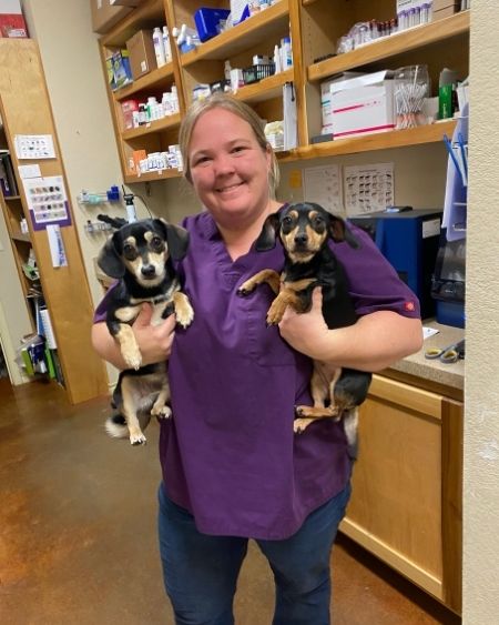 Texas West Animal Health Staff holding two small dogs