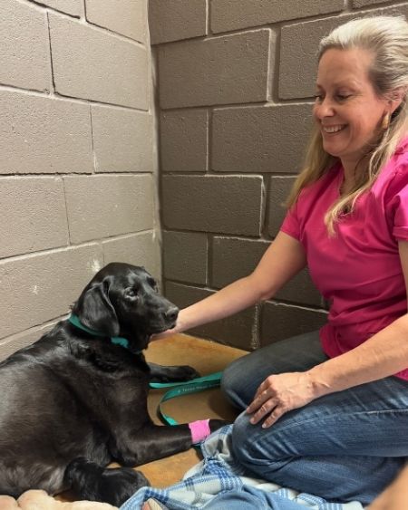 Texas West Animal Health Staff petting a dog