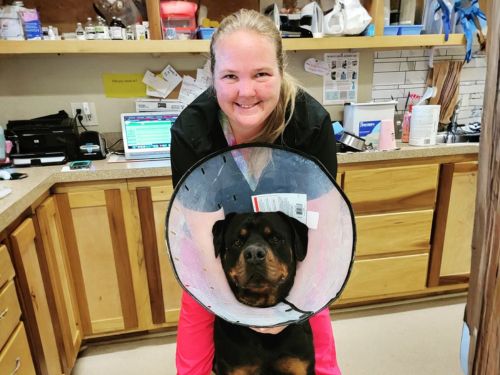 Texas West Animal Health veterinary staff posing with a dog in a surgery cone