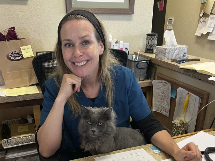 Vet sitting on a chair with a cat Vet sitting on a chair with a cat