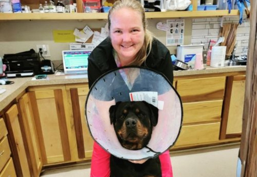 Texas West Animal Health Veterinary Staff Posing With a Dog in a Surgery Cone