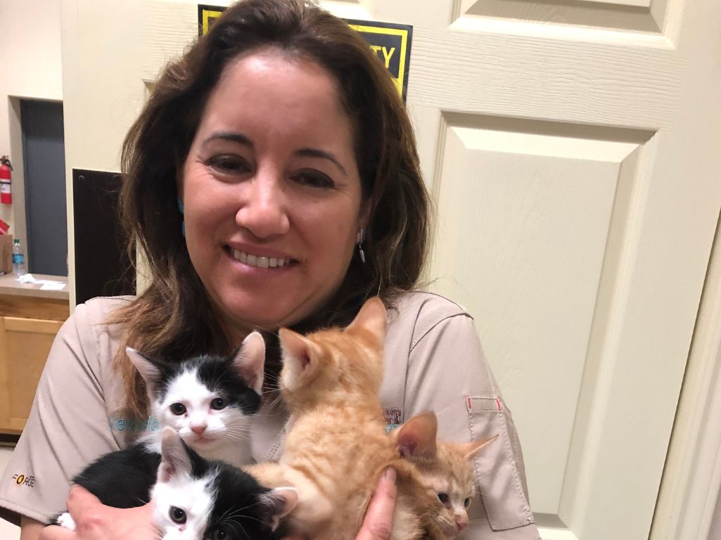 A smiling person in scrubs holds four kittens in their arms_ a black-and-white A smiling person in scrubs holds four kittens in their arms_ a black-and-white