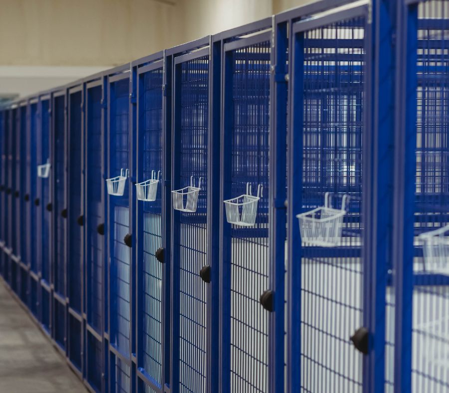 Rows of blue metal storage cages with wire fronts and hanging waterfeeder Rows of blue metal storage cages with wire fronts and hanging waterfeeder